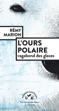 L'ours Polaire : Vagabond Des Glaces