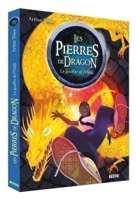 Les Pierres De Dragon T2 (Le Gouffre De L'oubli)