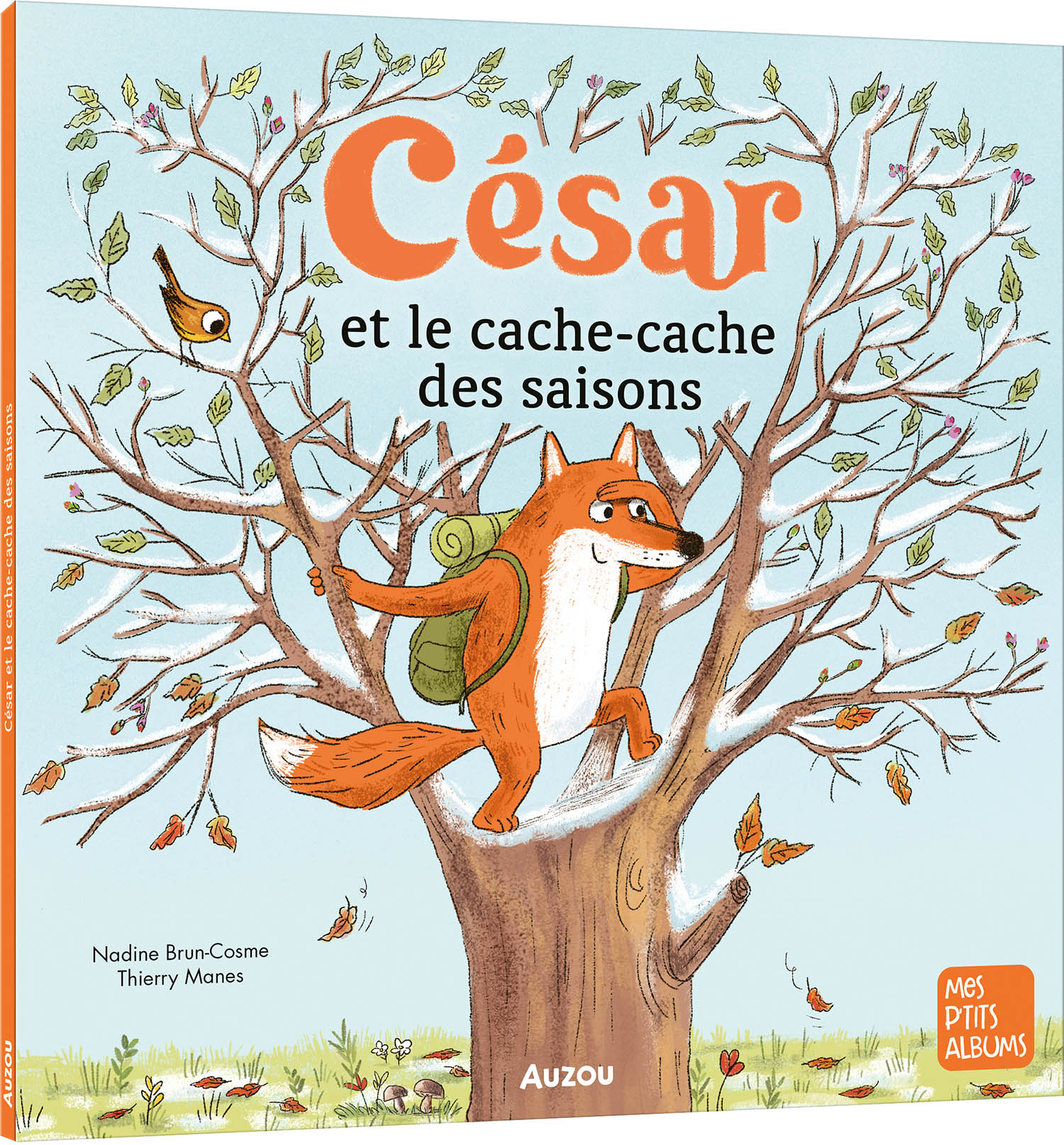 Cesar Et Le Cache-Cache Des Saisons