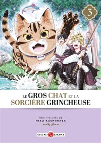 Le Gros Chat Et La Sorciere Grincheuse T3
