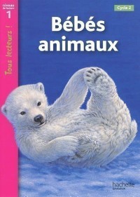 Bebes Animaux