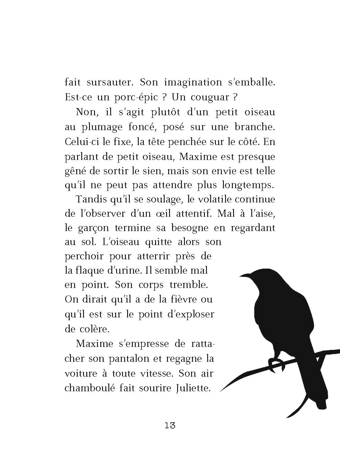 Oiseaux De Malheur - Le Bureau Des Histoires Etranges