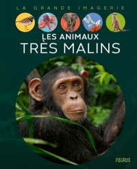 Les Animaux Très Malins