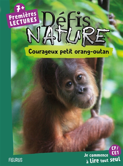 Courageux petit orang-outan