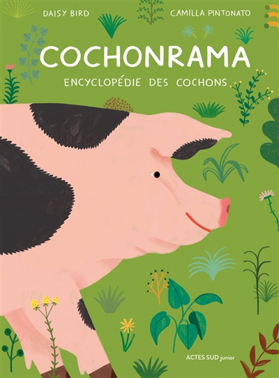 Cochonrama : Encyclopedie Des Cochons