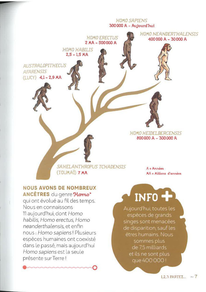Comment Les Hommes Prehistoriques Vivaient-Ils ?