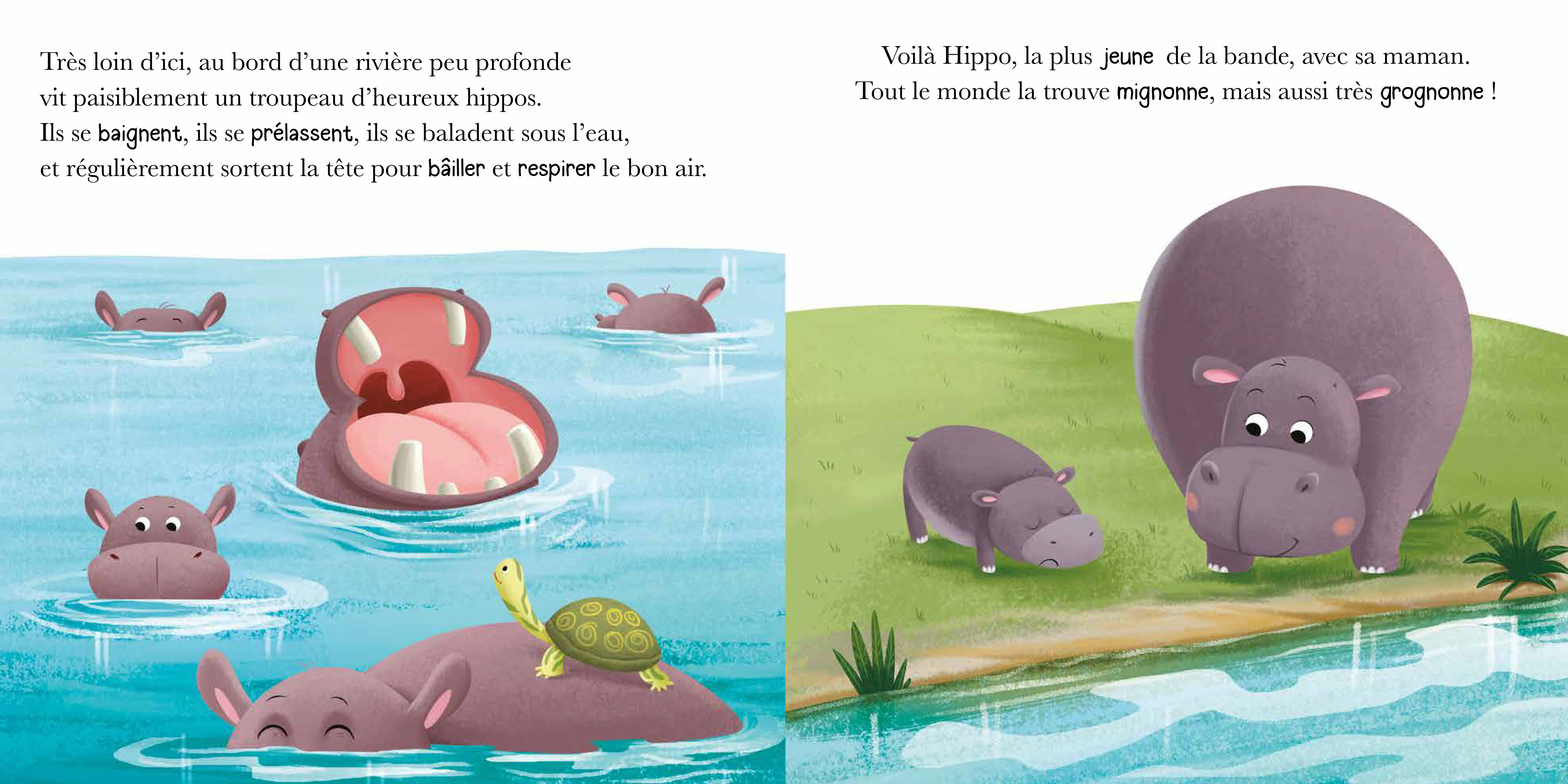 Hippo Est En Colere