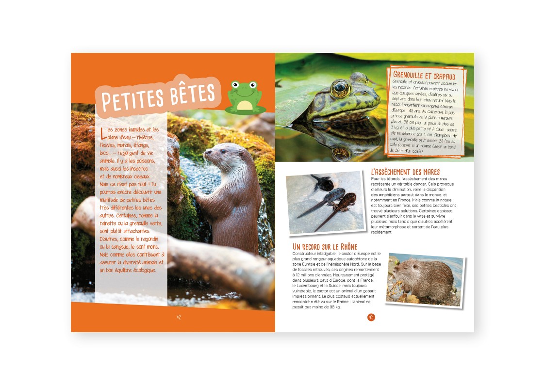 Petites Betes & Plantes Des Mares & Des Rivieres : Observer, Identifier, Preserver