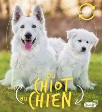 Du Chiot Au Chien