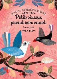 Petit Oiseau Prend Son Envol - Petites Et Grandes Decouvertes