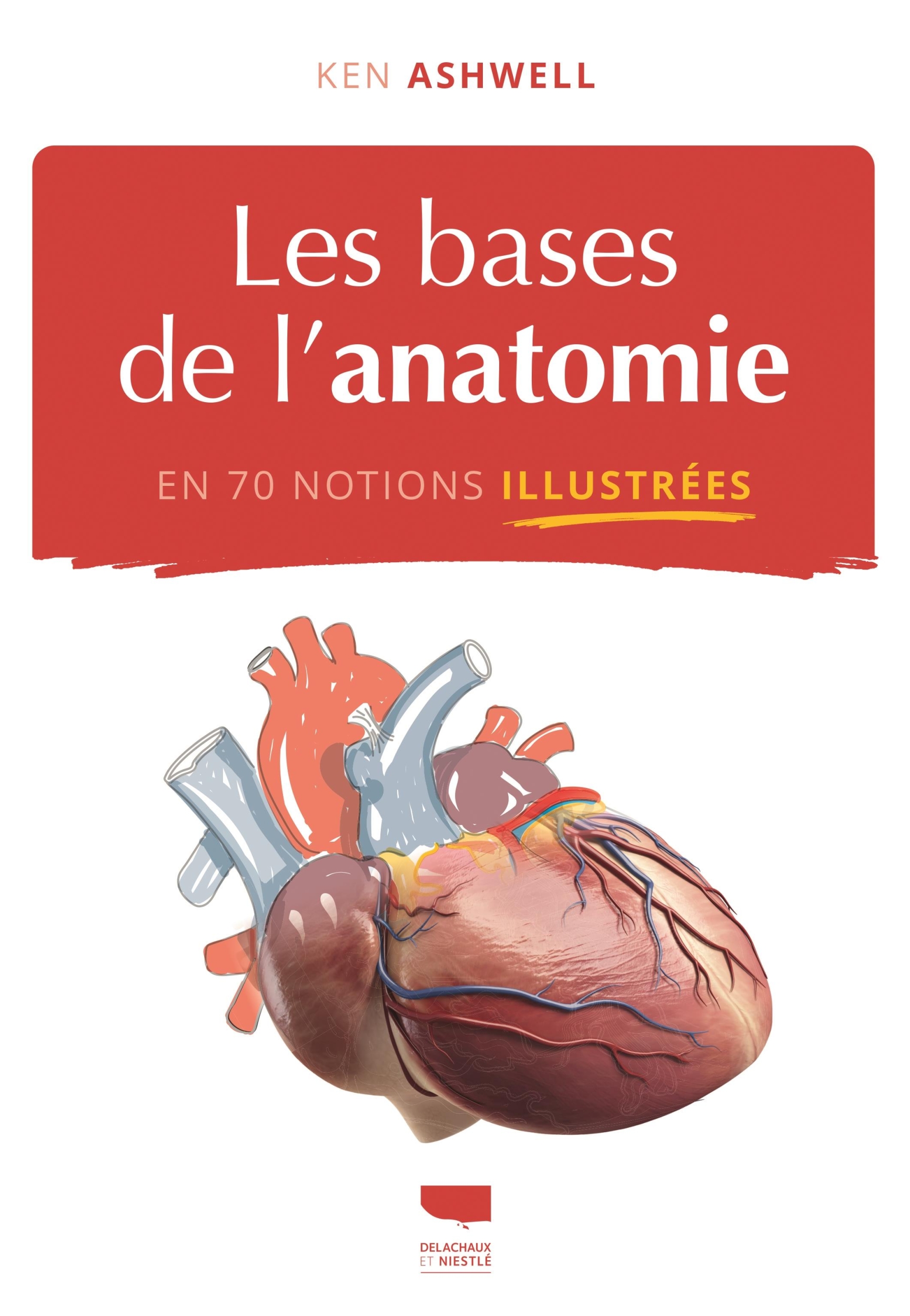 Les Bases De L'anatomie En 70 Notions Illustrees