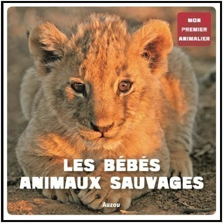 Les bebes animaux sauvages
