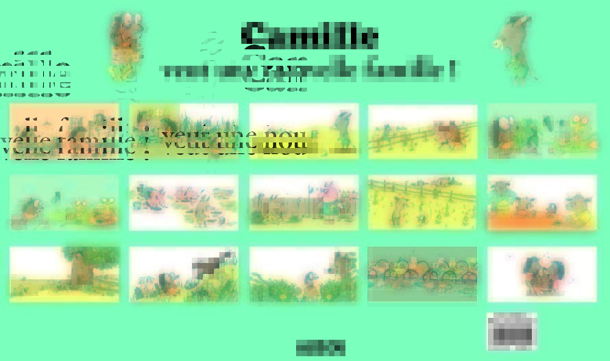 Kamishibai Camille Veut Une Nouvelle Famille
