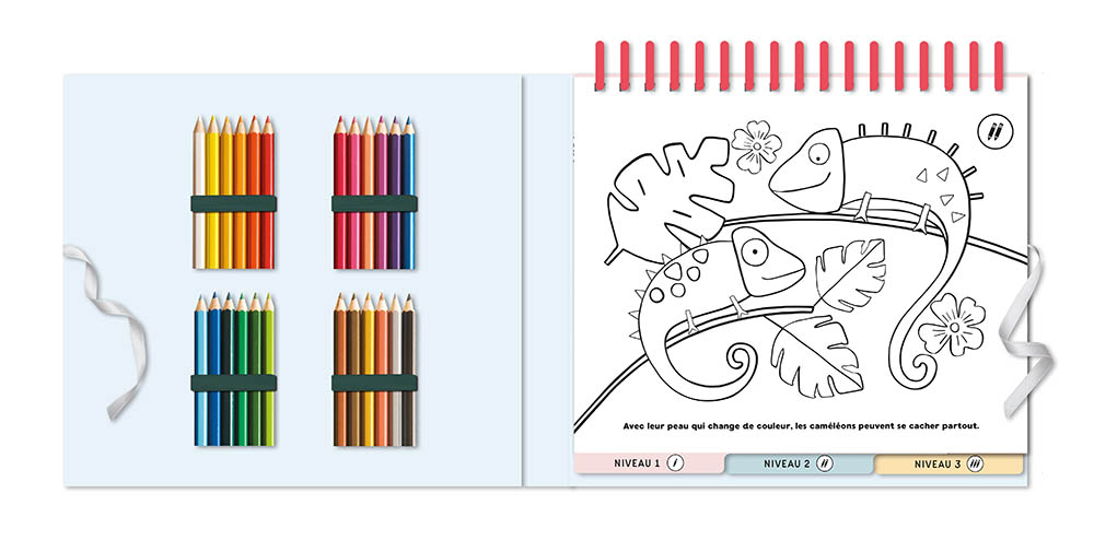 50 Coloriages Relaxants : Animaux