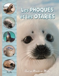 Les Phoques Et Les Otaries