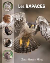 Les Rapaces