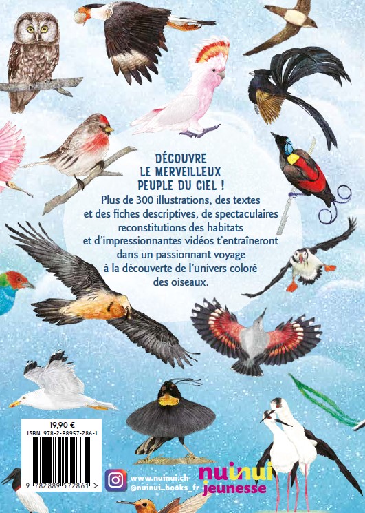 Guide Des Oiseaux Du Monde