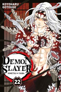 Demon Slayer : Kimetsu No Yaiba. Vol. 22