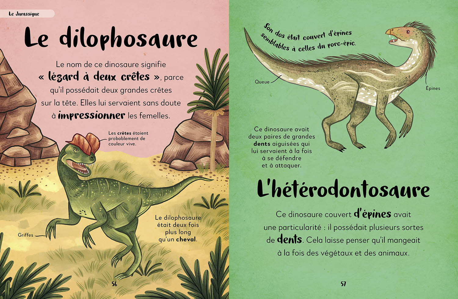 Ma Premiere Anthologie Des Dinosaures