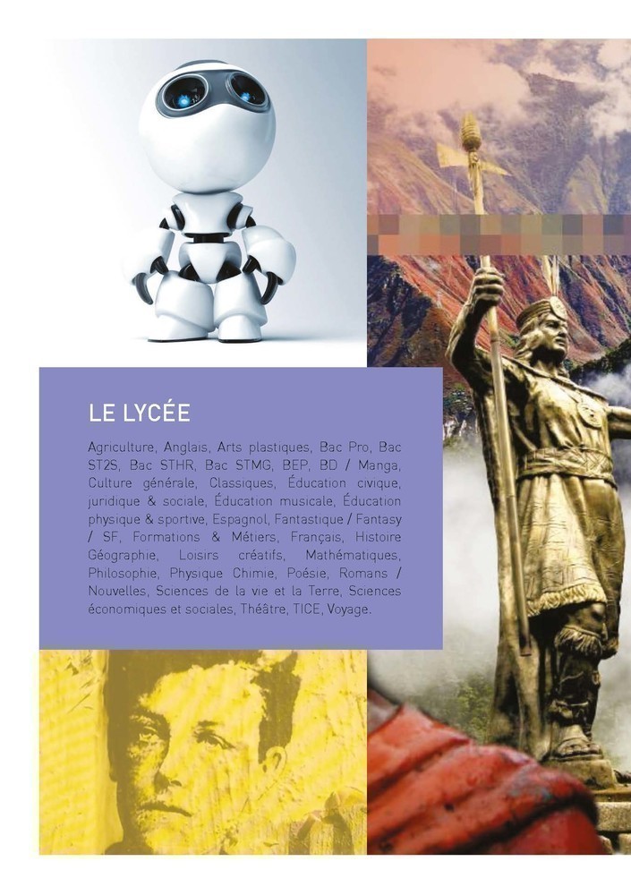Abonnement Annuel Lycee Cyberlibris  - 251 A 500  Eleves